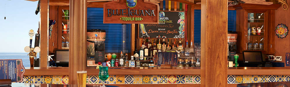 blue-iguana-bar-3