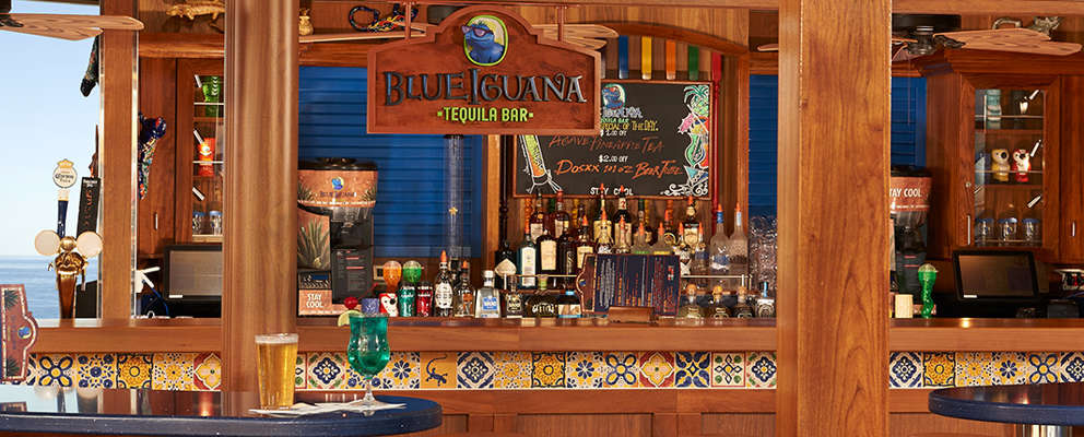 blue-iguana-bar-3