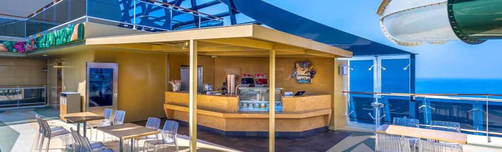 MSC Virtuosa Savannah Bar
