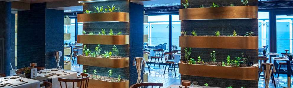 MSC World Europa Chef's Garden Kitchen