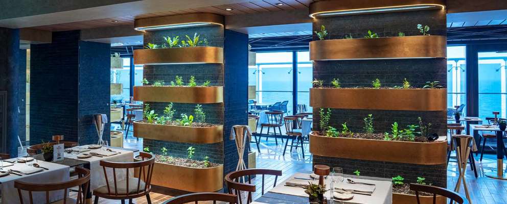 MSC World Europa Chef's Garden Kitchen